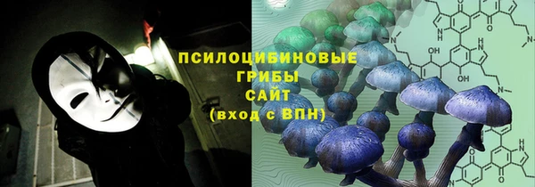 кокс Богородицк