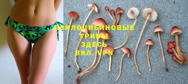 spice Инсар