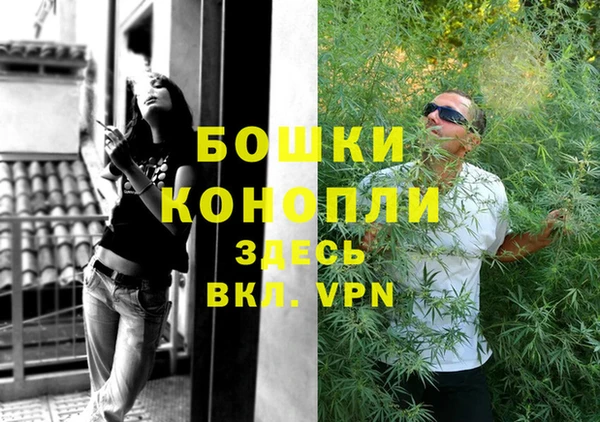 твердый Богородск