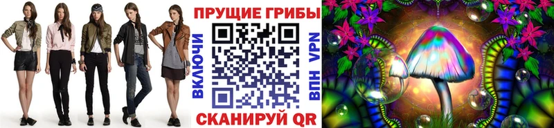 наркотики  Приозерск  Псилоцибиновые грибы мицелий 